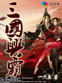 三国兴霸 三国兴霸