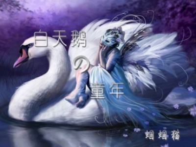 白天鹅的童年 白天鹅的童年