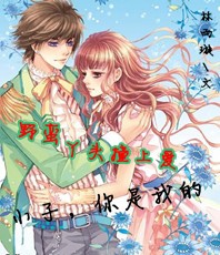 野蛮丫头撞上爱:小子,你是我的 野蛮丫头撞上爱:小子,你是我的