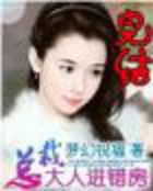 总裁大人进错房 总裁大人进错房