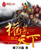 三国之权谋天下 三国之权谋天下