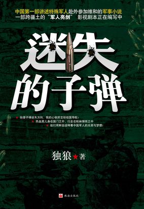 迷失的子弹