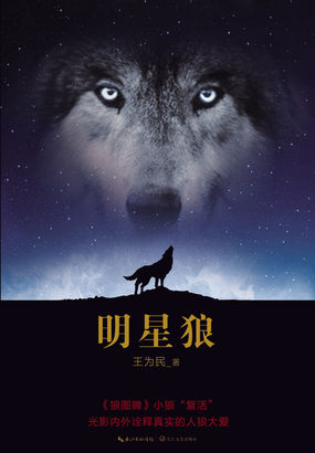 明星狼 明星狼