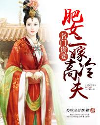 名门贵妻:肥女二嫁高冷夫 名门贵妻:肥女二嫁高冷夫
