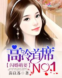 闪婚萌妻:高冷首席NO.1 闪婚萌妻:高冷首席NO.1