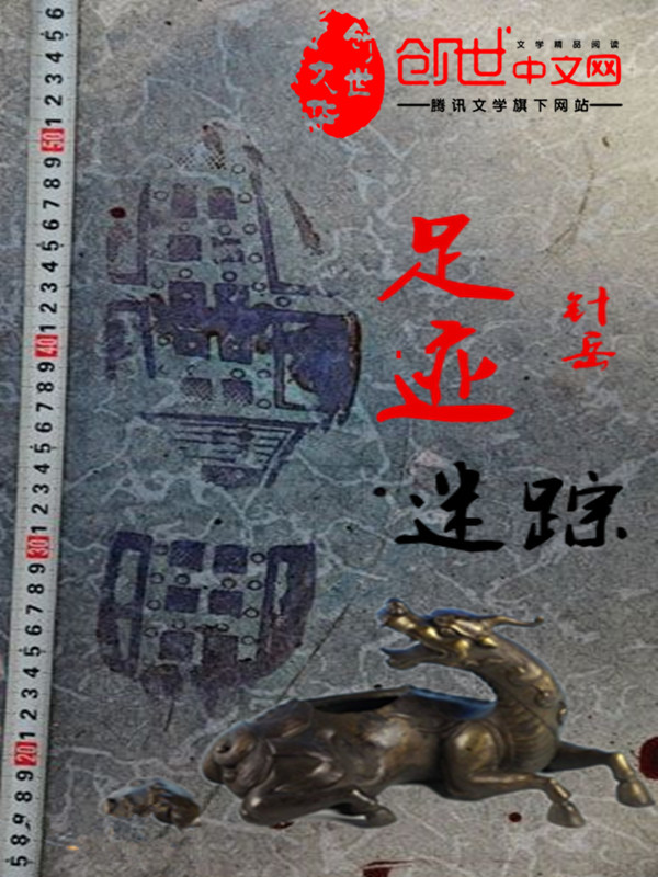 足迹迷踪 足迹迷踪