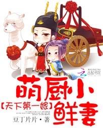 天下第一嫁:萌厨小鲜妻 天下第一嫁:萌厨小鲜妻