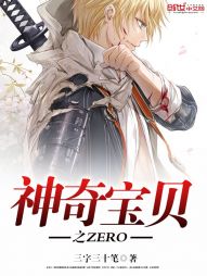神奇宝贝之ZERO 神奇宝贝之ZERO