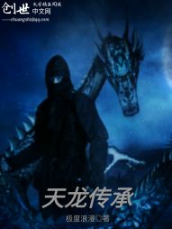 天龙传承 天龙传承