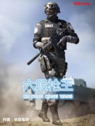 六段枪王