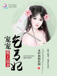 邪王追妻：宠宠乞丐妃