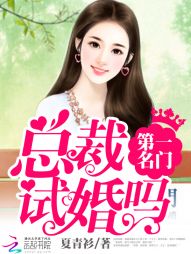 第一名门:总裁,试婚吗 第一名门:总裁,试婚吗