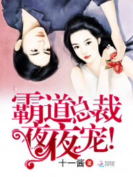 霸道总裁，夜夜宠！