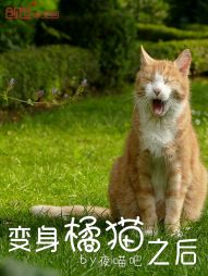 变身橘猫之后 变身橘猫之后