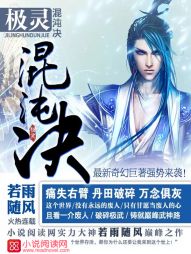 极灵混沌决 极灵混沌决