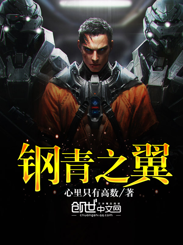 钢青之翼 钢青之翼