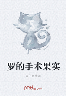 罗的手术果实 罗的手术果实