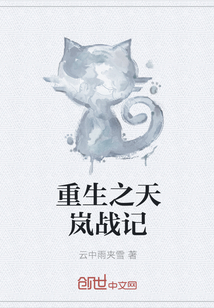 重生之天岚战记 重生之天岚战记
