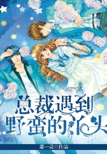 总裁遇到野蛮的丫头 总裁遇到野蛮的丫头