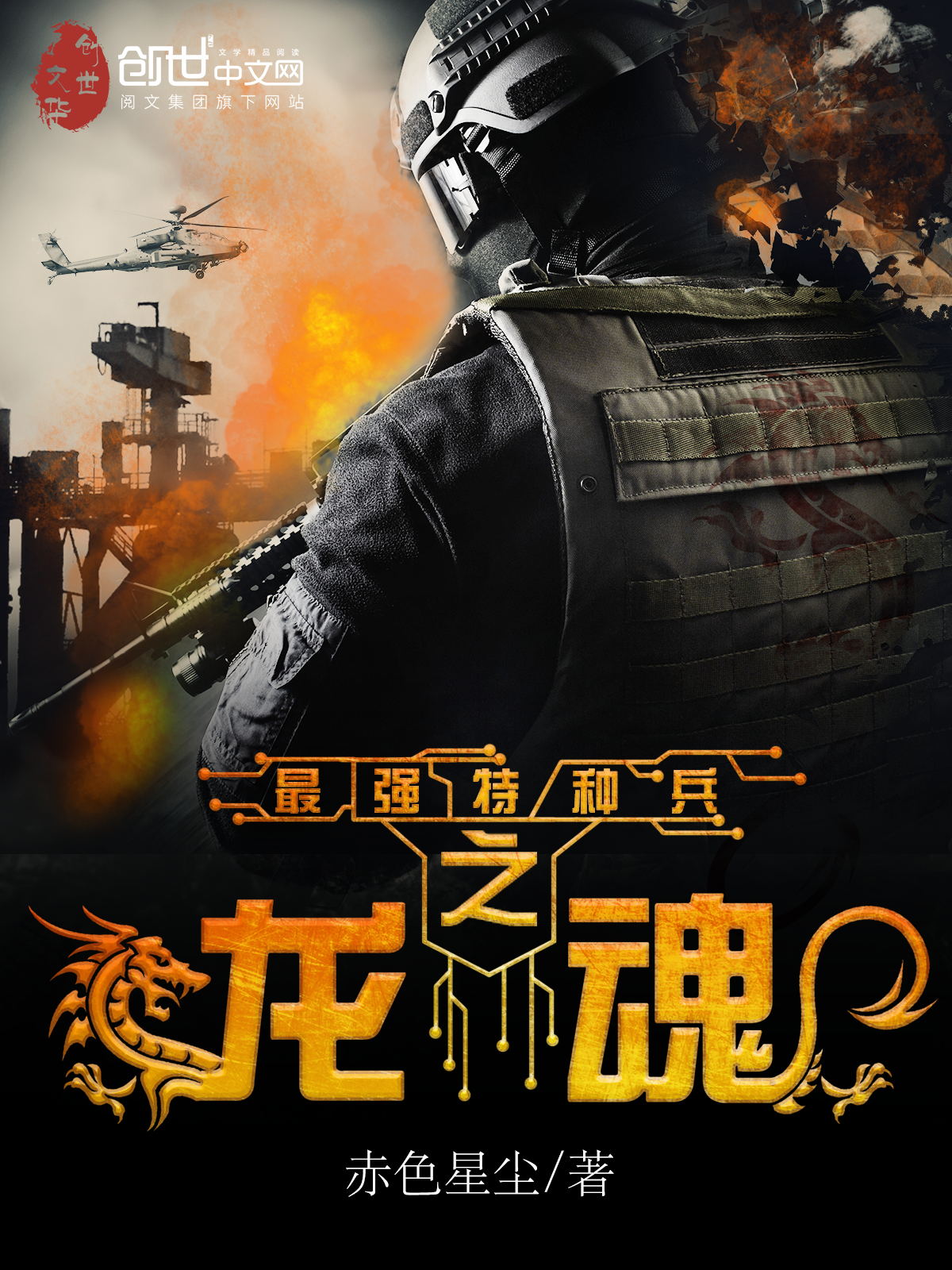 最强特种兵之龙魂 最强特种兵之龙魂