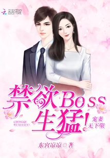 禁欲Boss生猛！宠妻，无下限