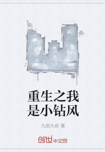 重生之我是小钻风 重生之我是小钻风